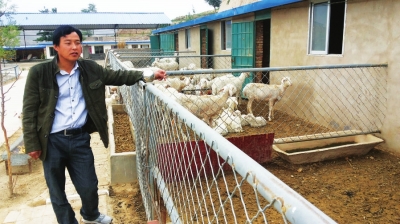 羊舍是农民金世林的希望