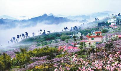 龙泉桃花故里