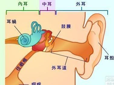 婴儿怎么测听力是否正常 11616953_999195.jpg