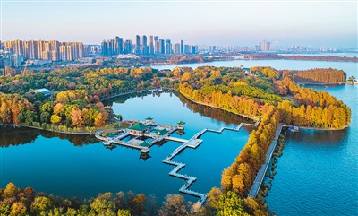 八月湖人口_人口普查图片(3)