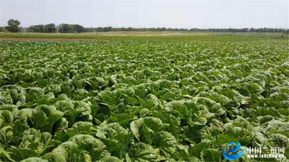 gdp兰州_2020年榆中县实现GDP171.8亿元奋力开创县域经济高质量发展新局面