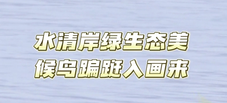 ˮ尶̬ 뻭