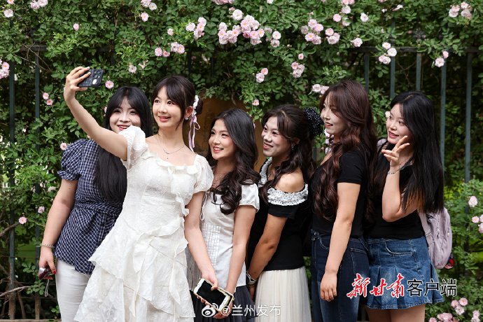 Lanzhou: Roses bloom in early summer