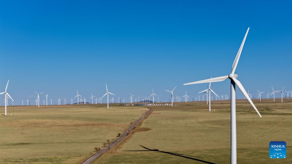 China speeds up low-carbon shift through green energy development