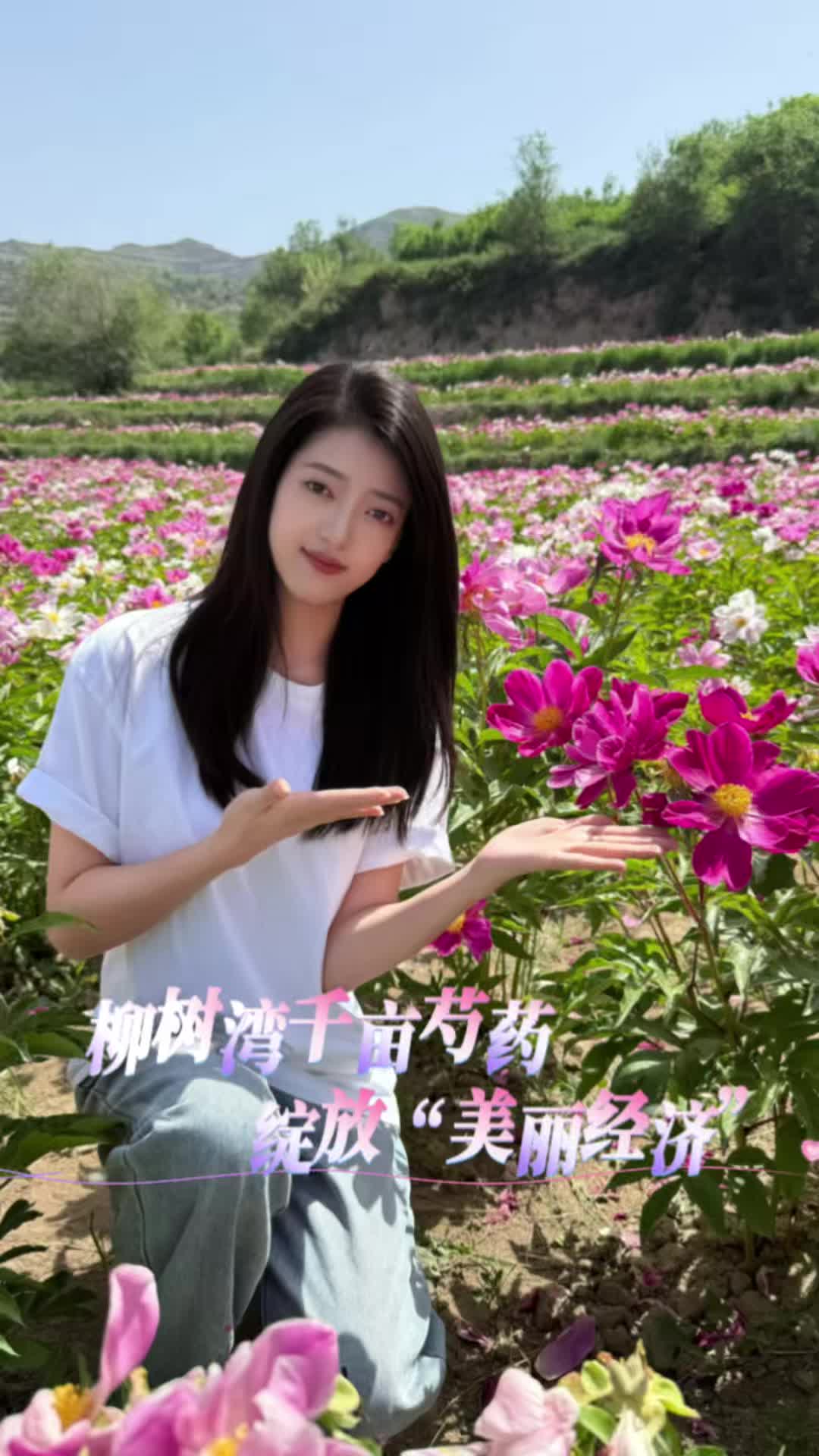 ������������ǧĶ��ҩ���š��������á�