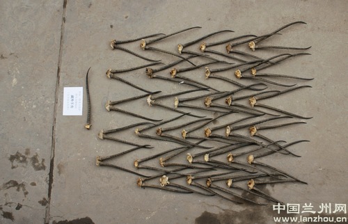 一起特大非法运输,出售珍贵野生动物及制品案在兰告破