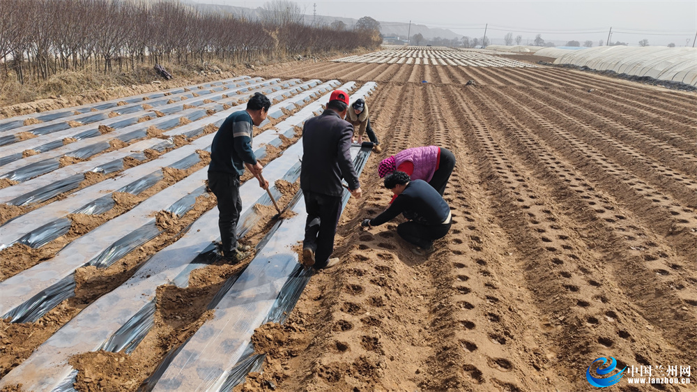 春耕备耕正当时|红古区农资储备充足 春耕有序展开 _中国兰州网