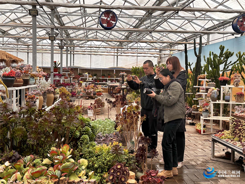 优化营商环境助推乡村振兴v观兰州乡遇红古主题活动走进红古区